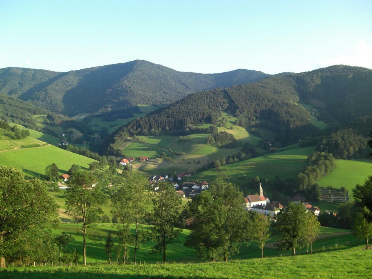 Weitblick "Entspannen - Wohlfuehlen - Aktiv Erholen" Ельцах Екстер'єр фото